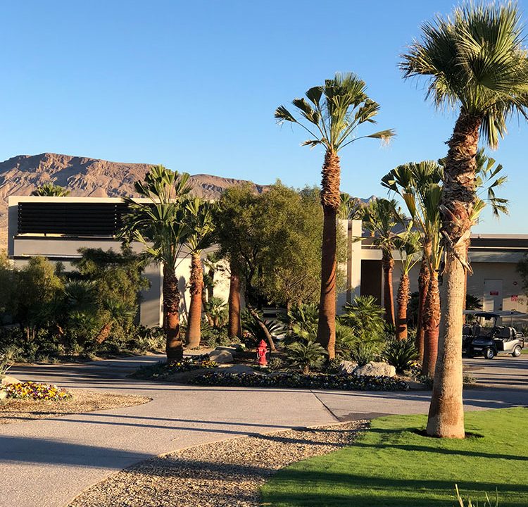 The Summit Club